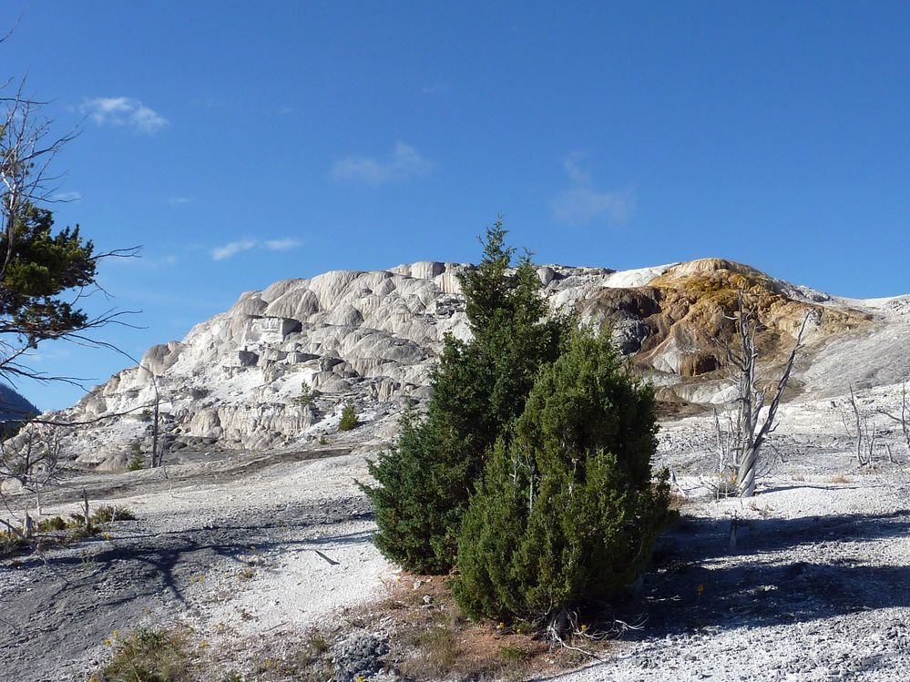 Yellowstone Mammoth Hotsprings (39).JPG